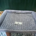Orthopedic Plush Dog Bed w/ Bolster Sides – Medium - Image 1