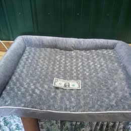 Orthopedic Plush Dog Bed w/ Bolster Sides – Medium - Image 1
