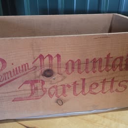 Vintage Premium Mountain Bartletts Wooden Fruit Crate – Earl Fruit Co. California